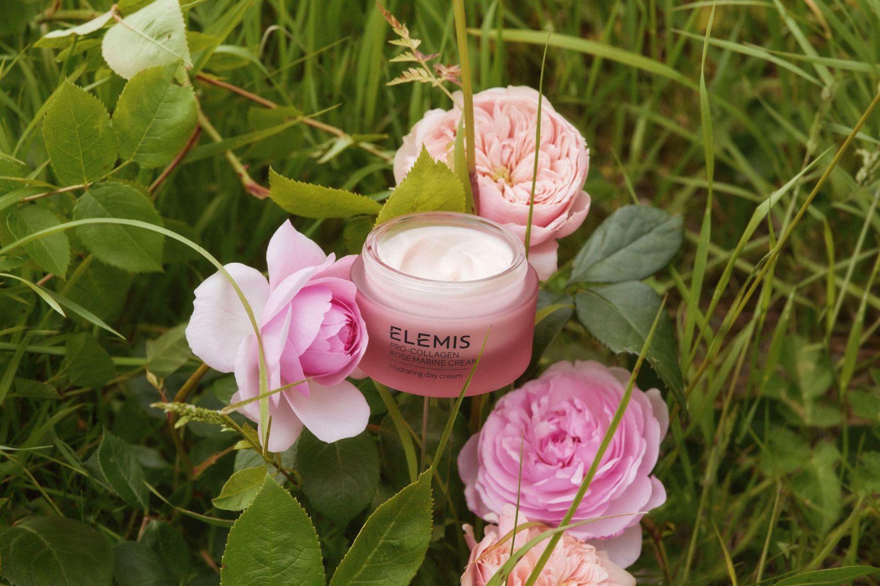 An open pink jar of Elemis Pro-Collagen Rose Marine Cream, revealing white cream, nestled among blooming pink roses and green leaves.
