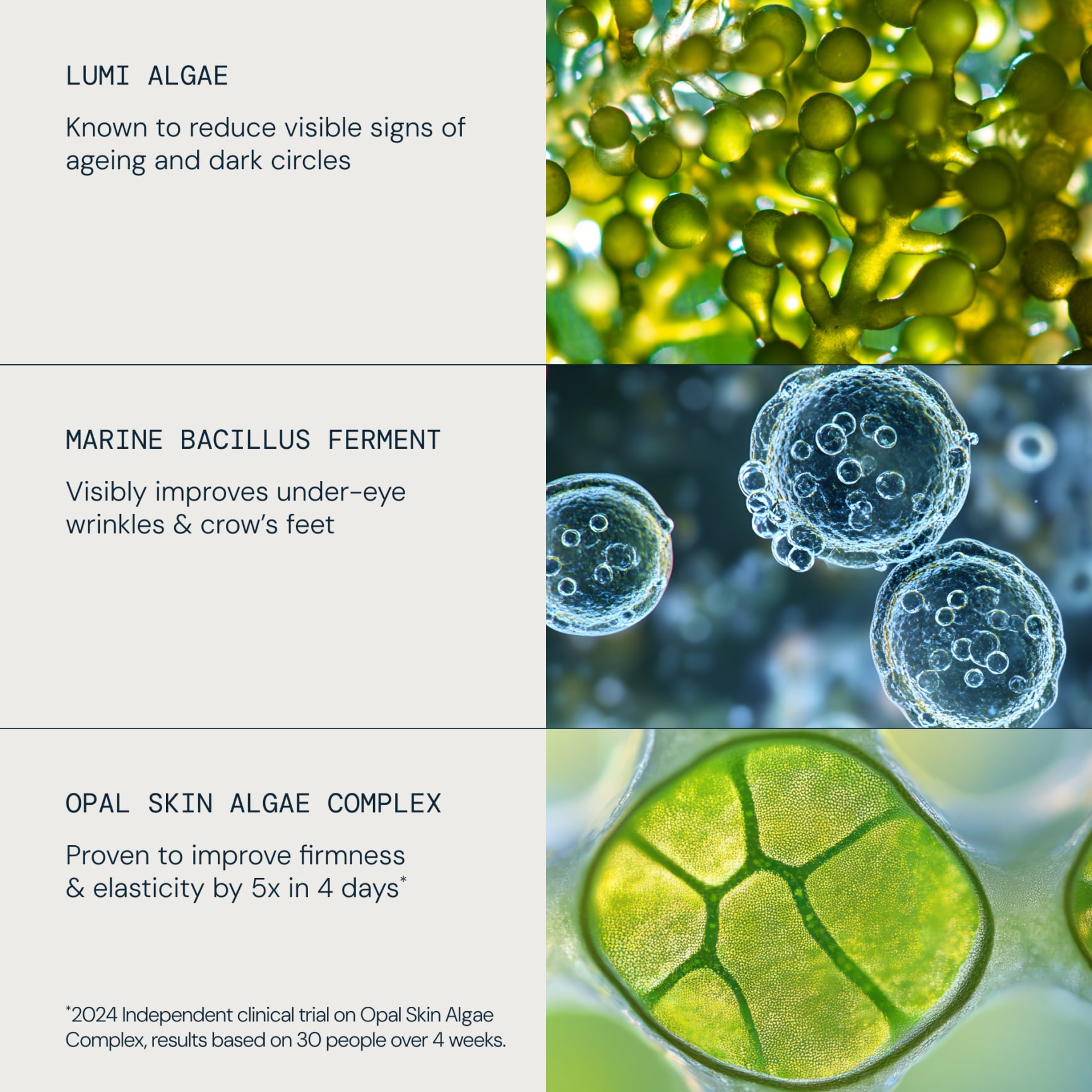 ELEMIS graphic highlighting skincare actives: lumi algae to reduce visible signs of ageing and dark circles, marine bacillus ferment to improve under-eye wrinkles and crow’s feet, and Opal Skin Algae Complex to improve firmness and elasticity by 5x in 4 days.