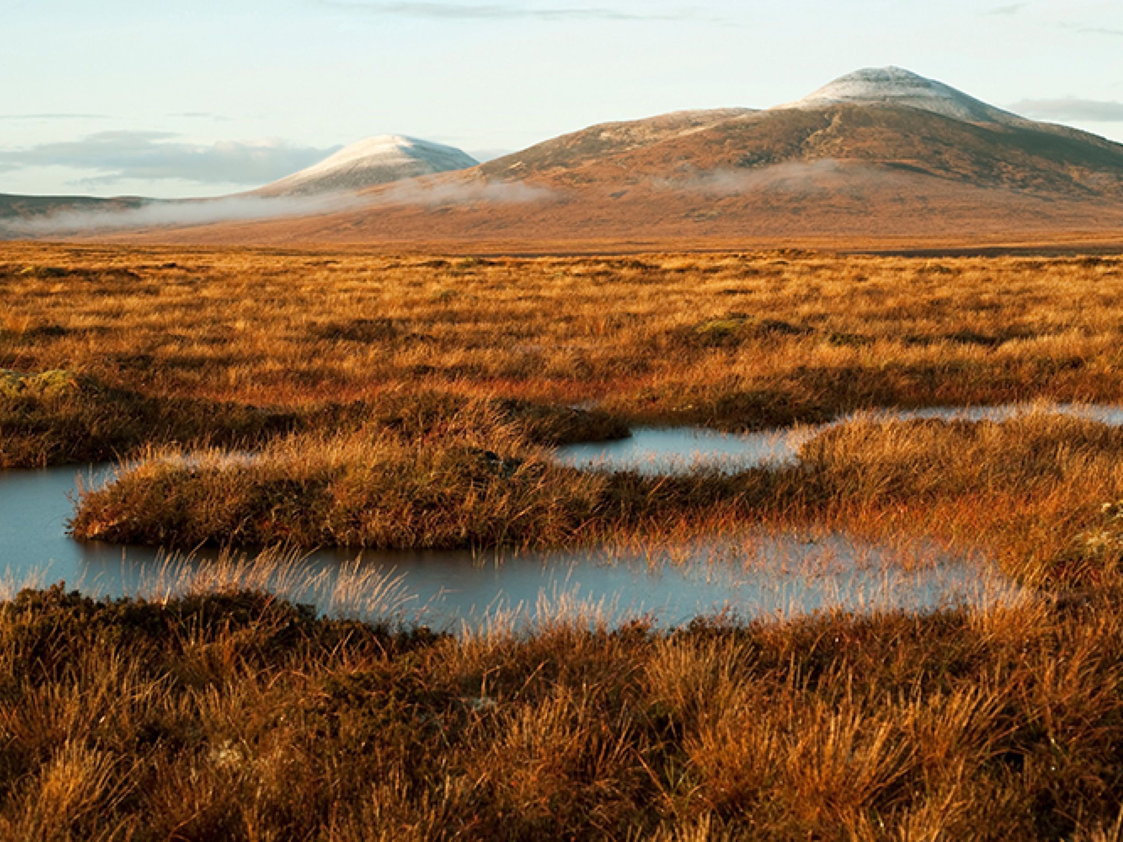 A golden moorland with pools of water and distant misty, snow-capped hills.
