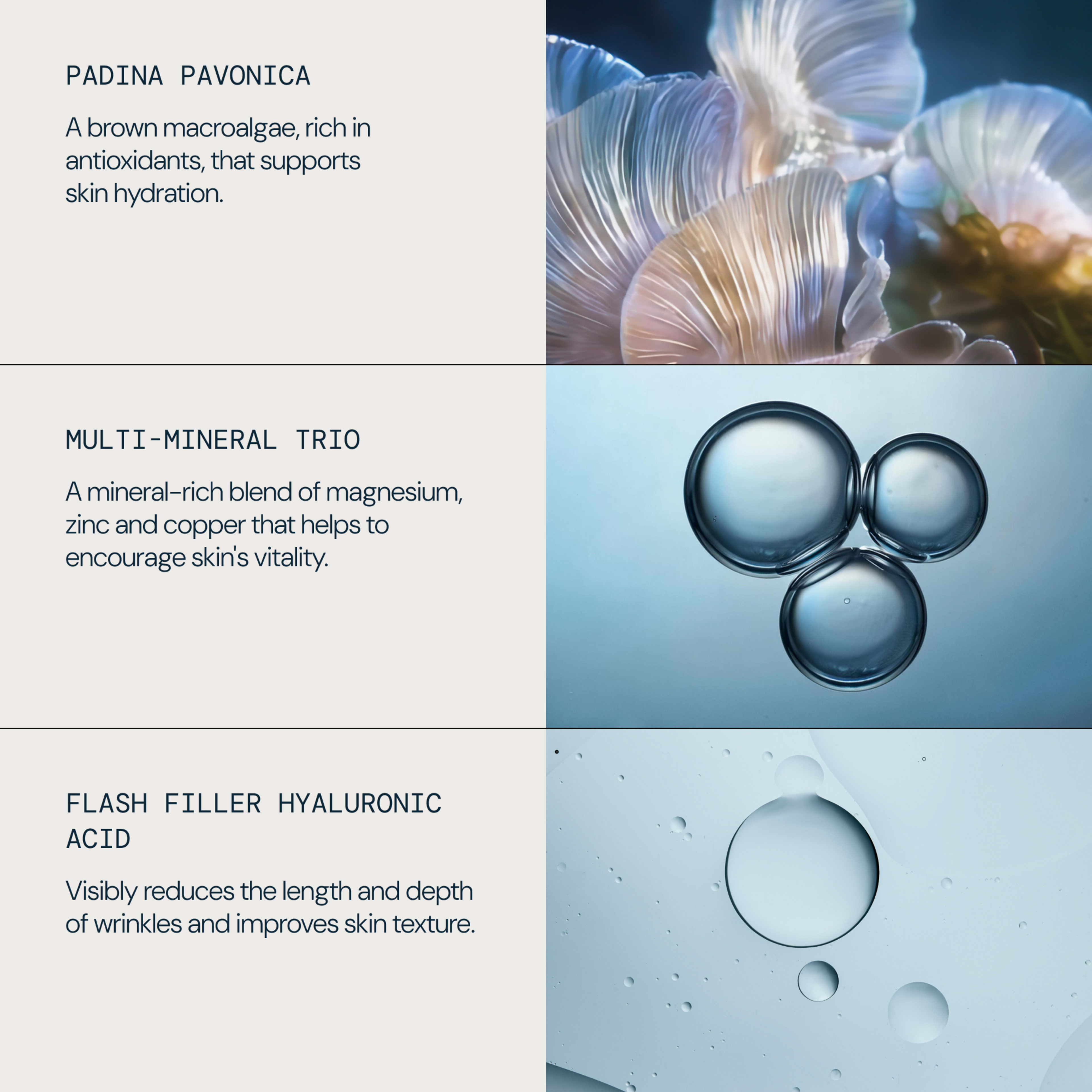 Graphic describing three key skincare ingredients with abstract close-ups: padina pavonica macroalgae for antioxidant hydration; multi-mineral trio of magnesium, zinc and copper to support skin vitality; flash filler hyaluronic acid to reduce wrinkle length and depth and improve texture.