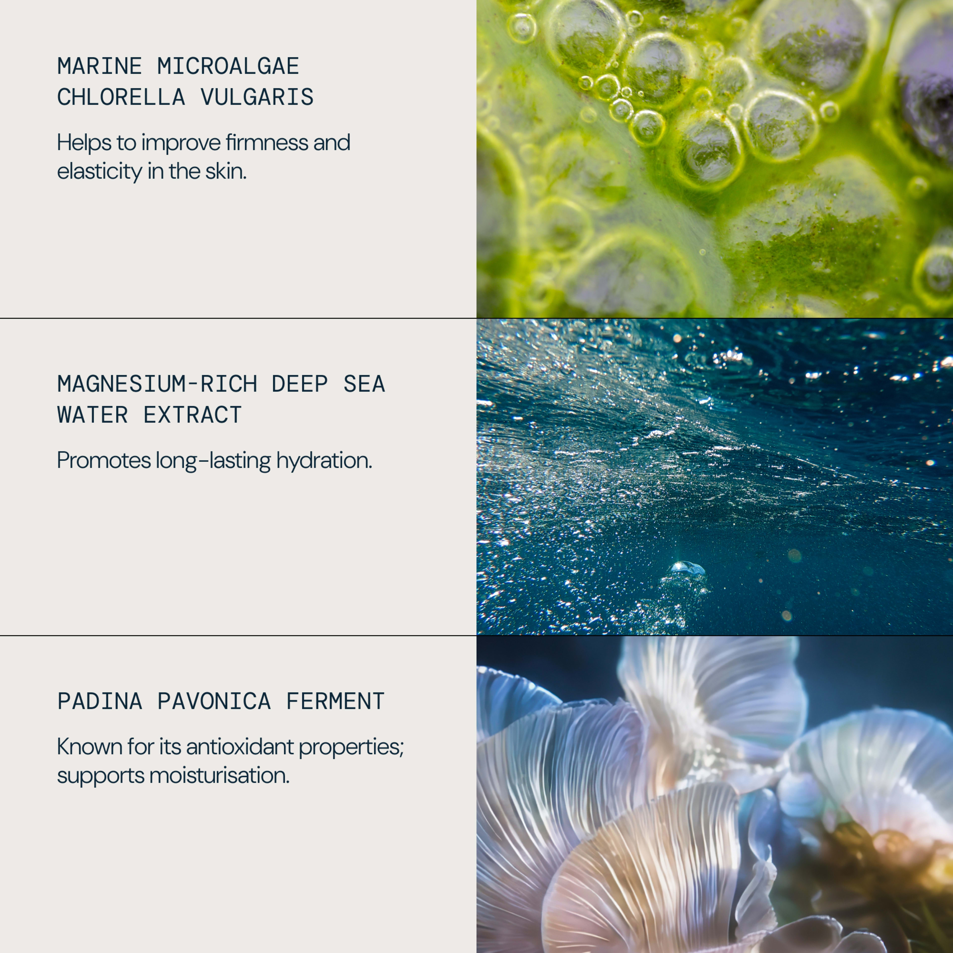ELEMIS graphic listing key skincare actives: marine microalgae chlorella vulgaris to improve skin firmness and elasticity, magnesium-rich deep sea water extract to promote long-lasting hydration, and padina pavonica ferment for antioxidant, moisturising support.