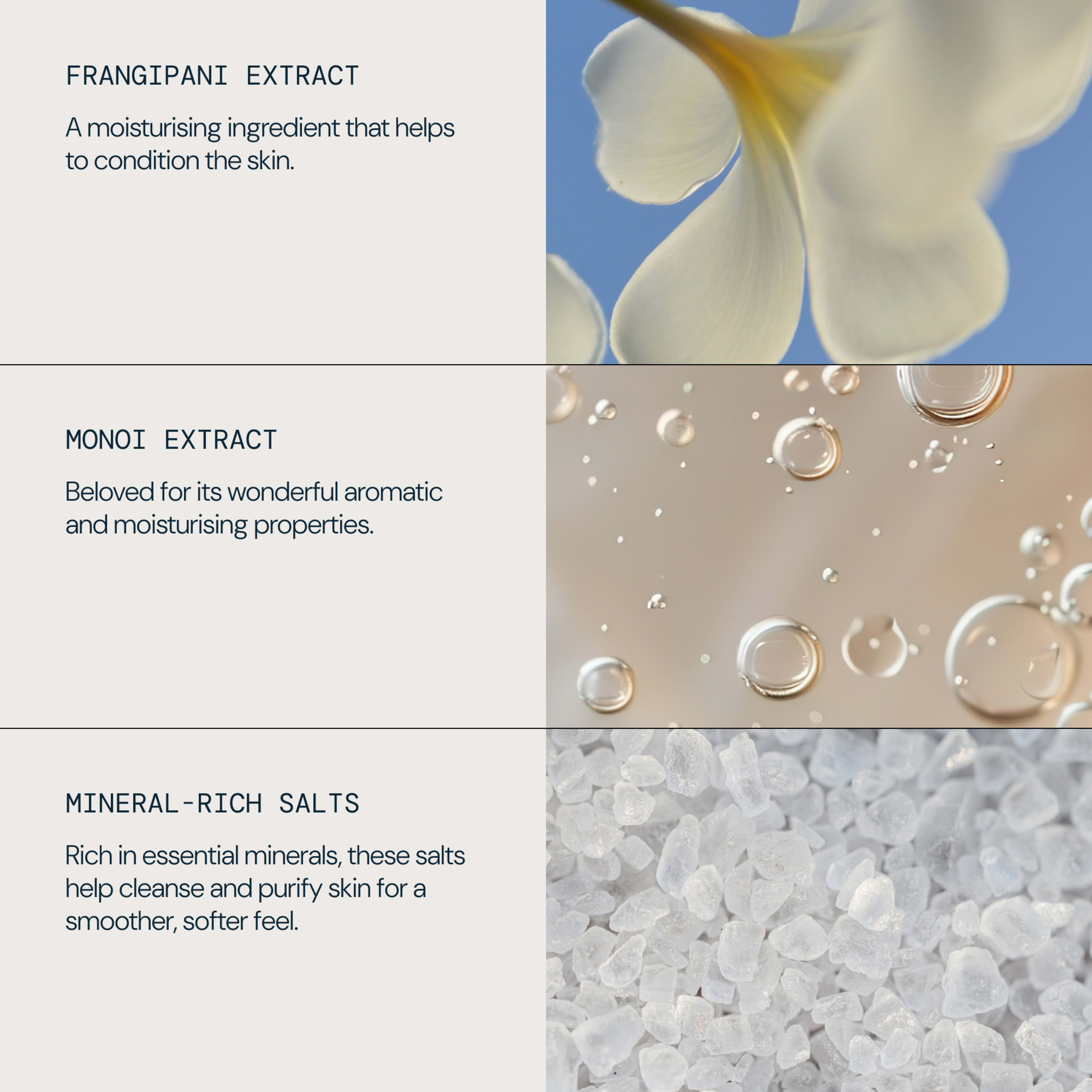 Graphic describing key ELEMIS ingredients: frangipani extract, a moisturising ingredient that helps condition the skin; monoi extract, valued for aromatic and moisturising properties; mineral-rich salts, with essential minerals that cleanse and purify for smoother, softer skin.