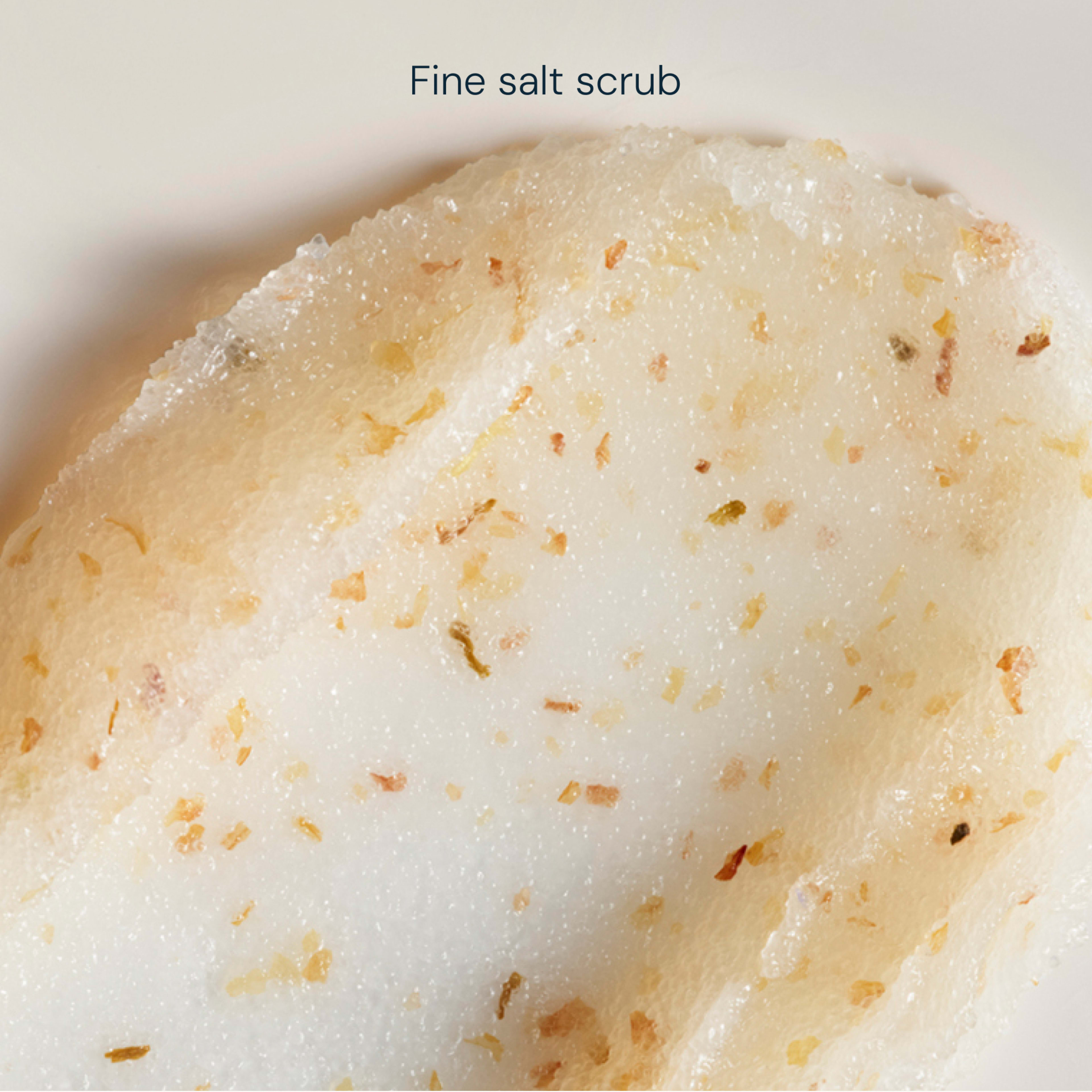 Close-up of a creamy fine salt scrub spread on a white surface, showing tiny exfoliating salt grains and botanical particles embedded in the smooth texture, with the text “Fine salt scrub” at the top.