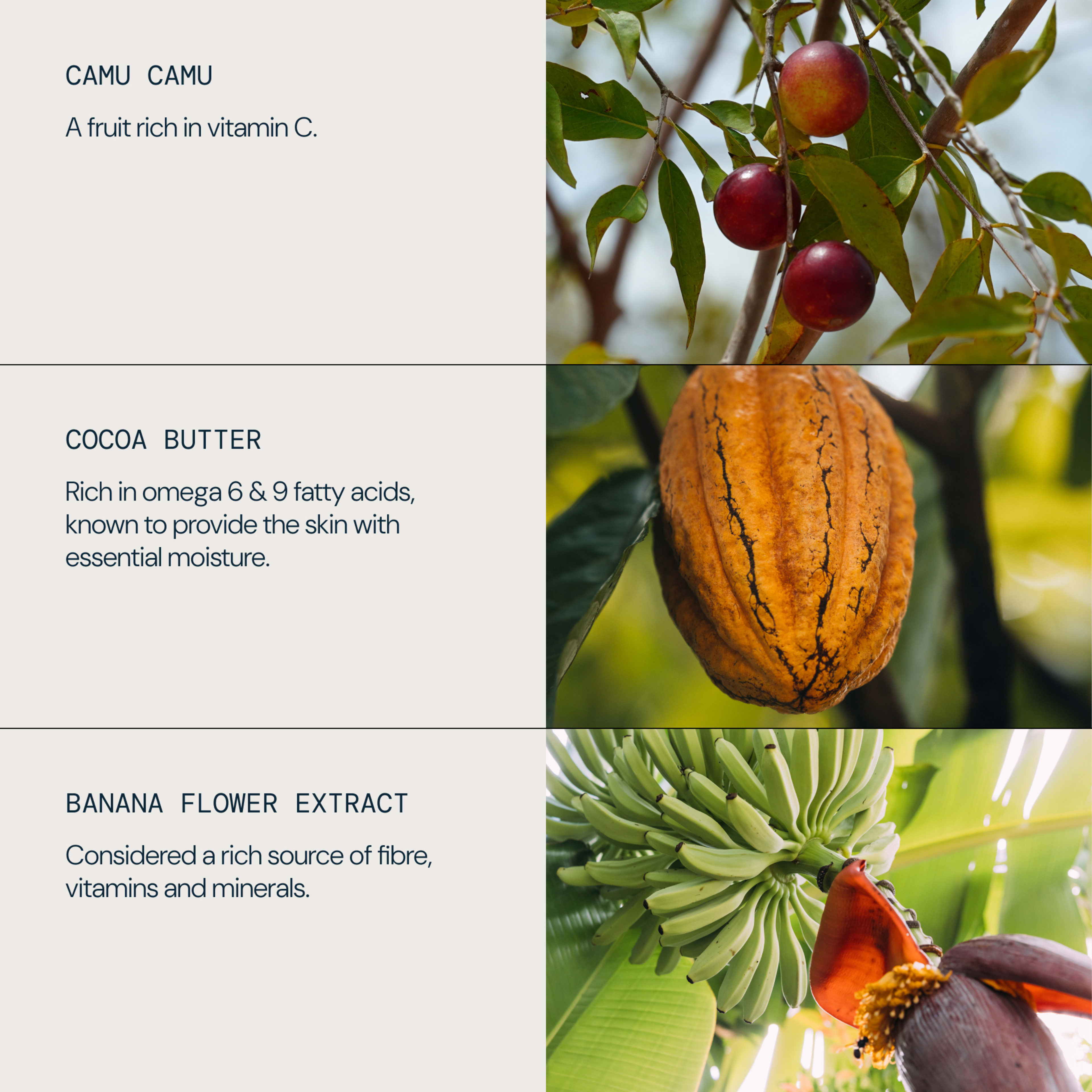 Panel showing three natural ingredients and benefits: camu camu, described as a fruit rich in vitamin C; cocoa butter, rich in omega 6 & 9 fatty acids that provide essential moisture; and banana flower extract, a rich source of fibre, vitamins and minerals.