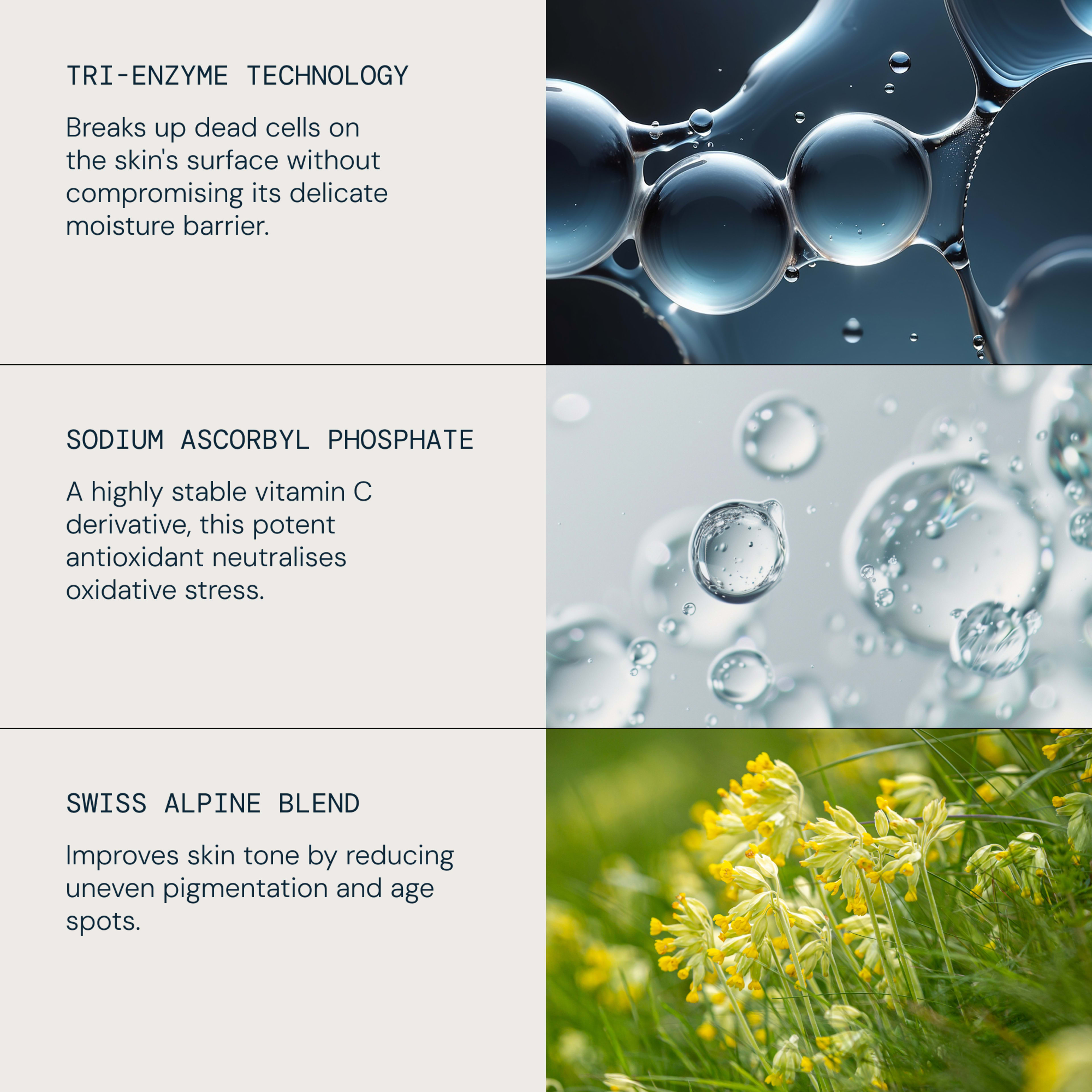 Graphic describing skincare actives: tri-enzyme technology breaks up dead cells on the skin’s surface without harming the moisture barrier; sodium ascorbyl phosphate is a stable vitamin C antioxidant that neutralises oxidative stress.  

Swiss alpine blend improves skin tone by reducing uneven pigmentation and age spots.