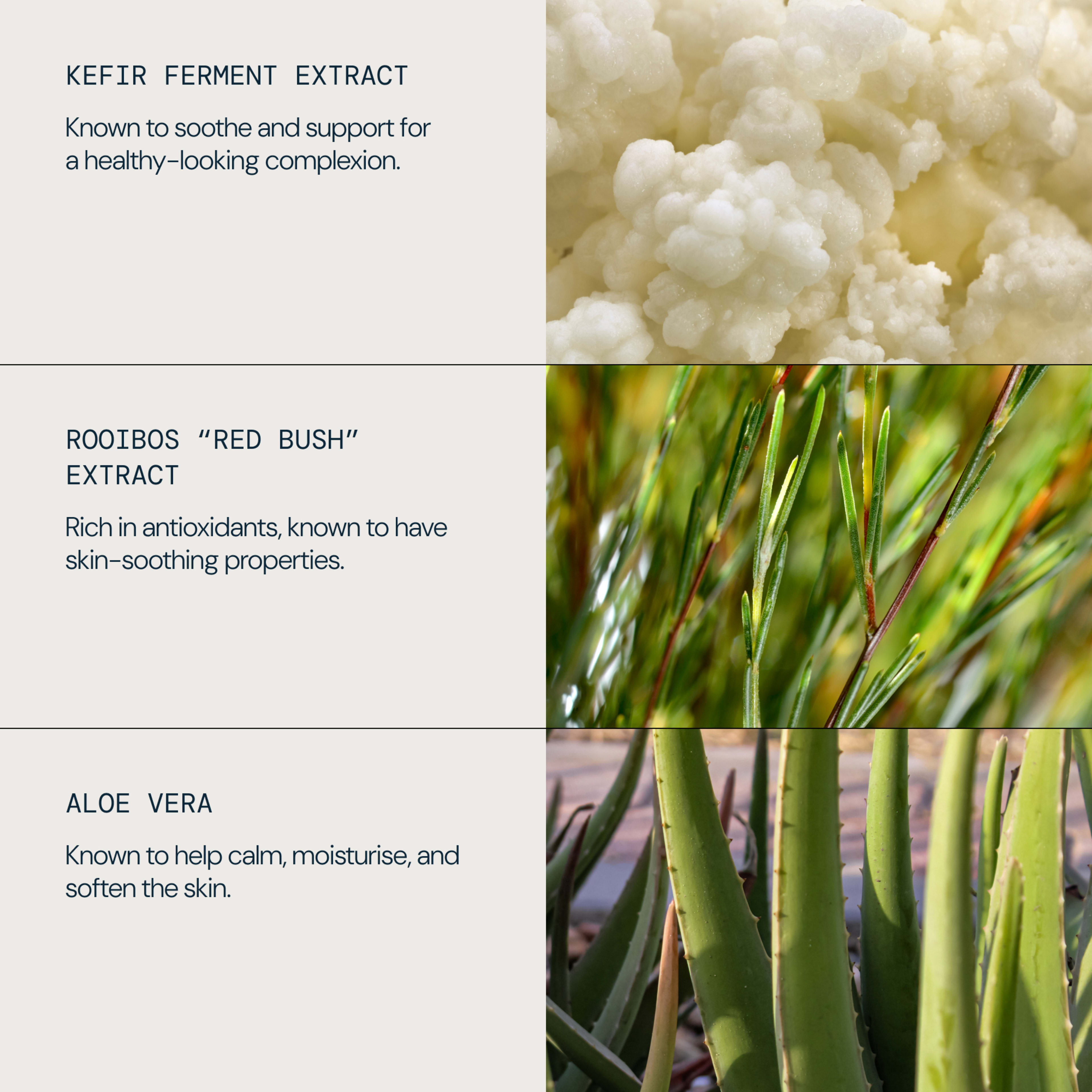 Graphic highlighting ingredients: kefir ferment extract, known to soothe and support for a healthy-looking complexion; rooibos “red bush” extract, rich in antioxidants with skin-soothing properties; aloe vera, known to help calm, moisturise and soften the skin.