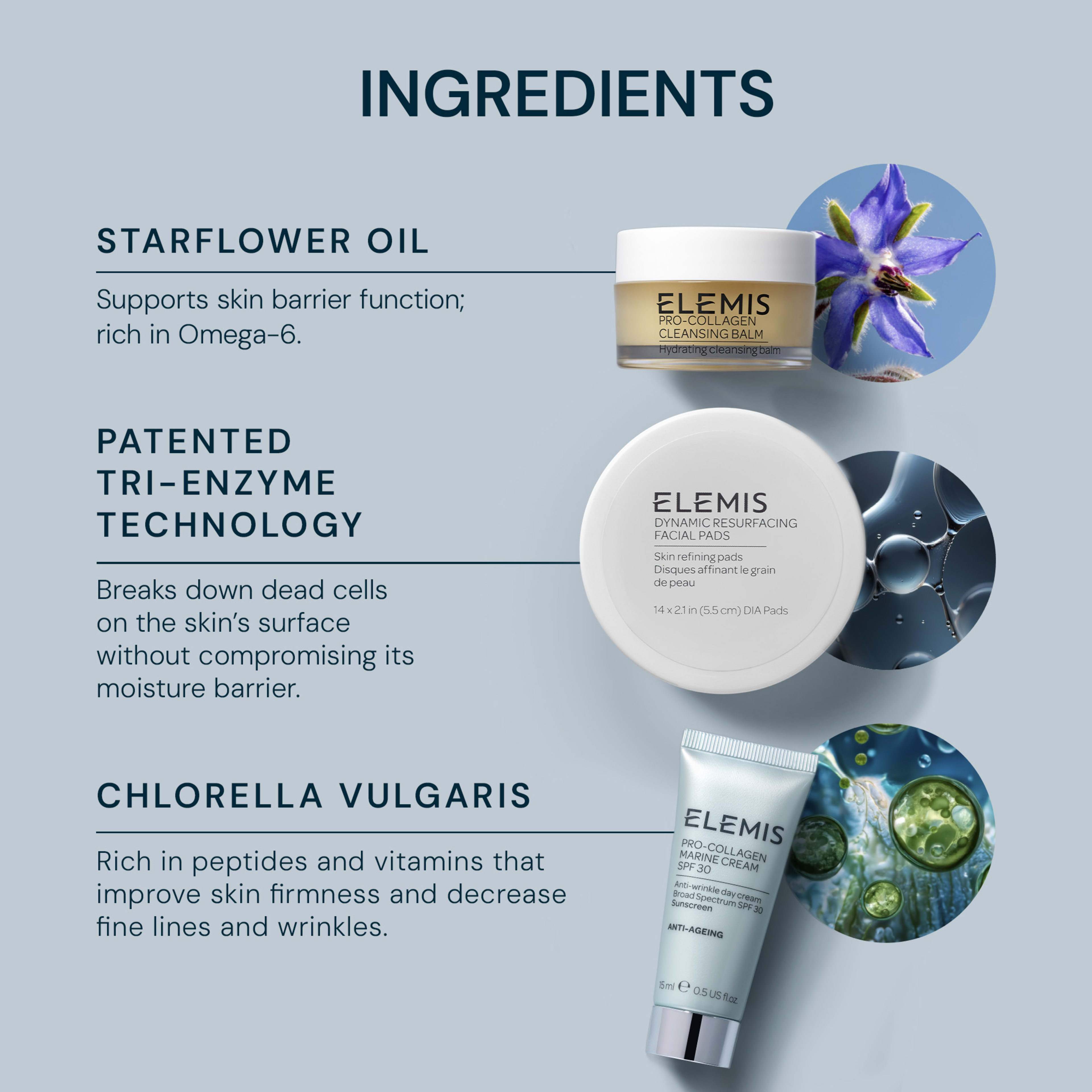 ELEMIS skincare ingredients graphic listing starflower oil, patented tri-enzyme technology and chlorella vulgaris. Text highlights: starflower oil supports skin barrier and is rich in omega-6; tri-enzyme breaks down dead cells without harming moisture barrier; chlorella vulgaris peptides and vitamins improve skin firmness and reduce fine lines and wrinkles.