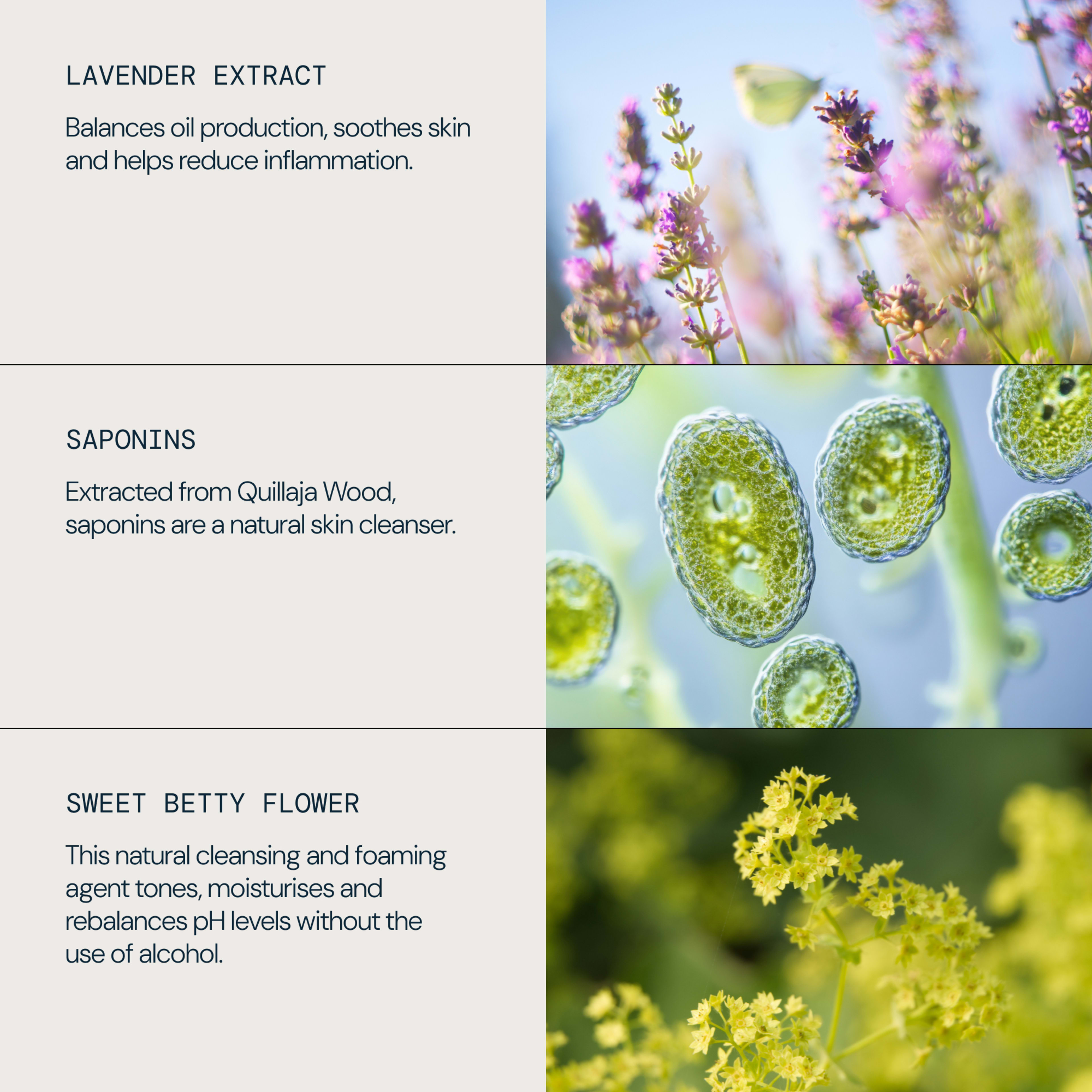 Graphic listing skincare ingredients and benefits: lavender extract balances oil, soothes skin and reduces inflammation; saponins from quillaja wood act as a natural skin cleanser; sweet betty flower is a cleansing, foaming agent that tones, moisturises and rebalances pH without alcohol.