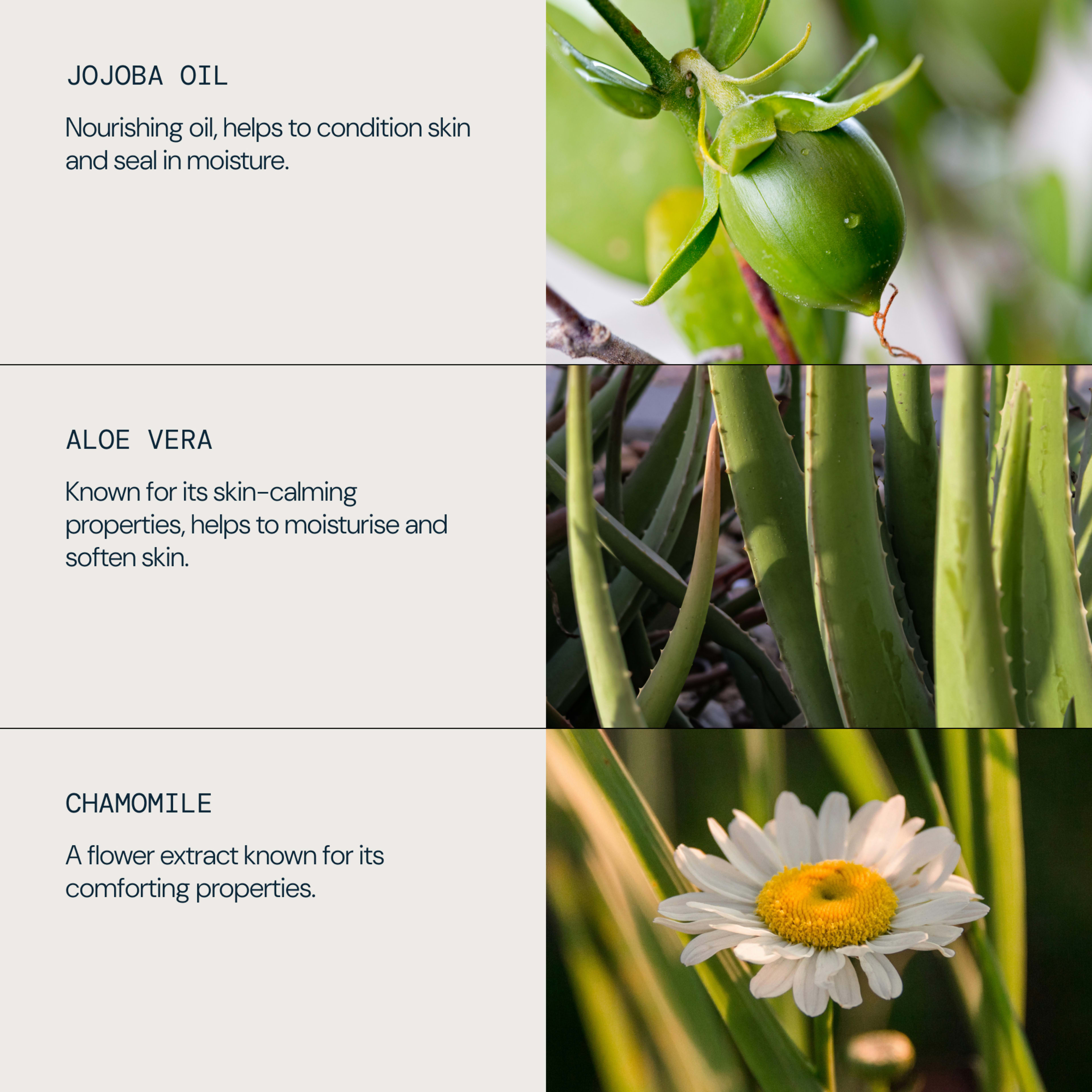 JOJOBA OIL: nourishing oil that helps condition skin and seal in moisture. ALOE VERA: known for skin-calming properties, helps moisturise and soften skin. CHAMOMILE: flower extract known for its comforting properties, with photos of each plant.
