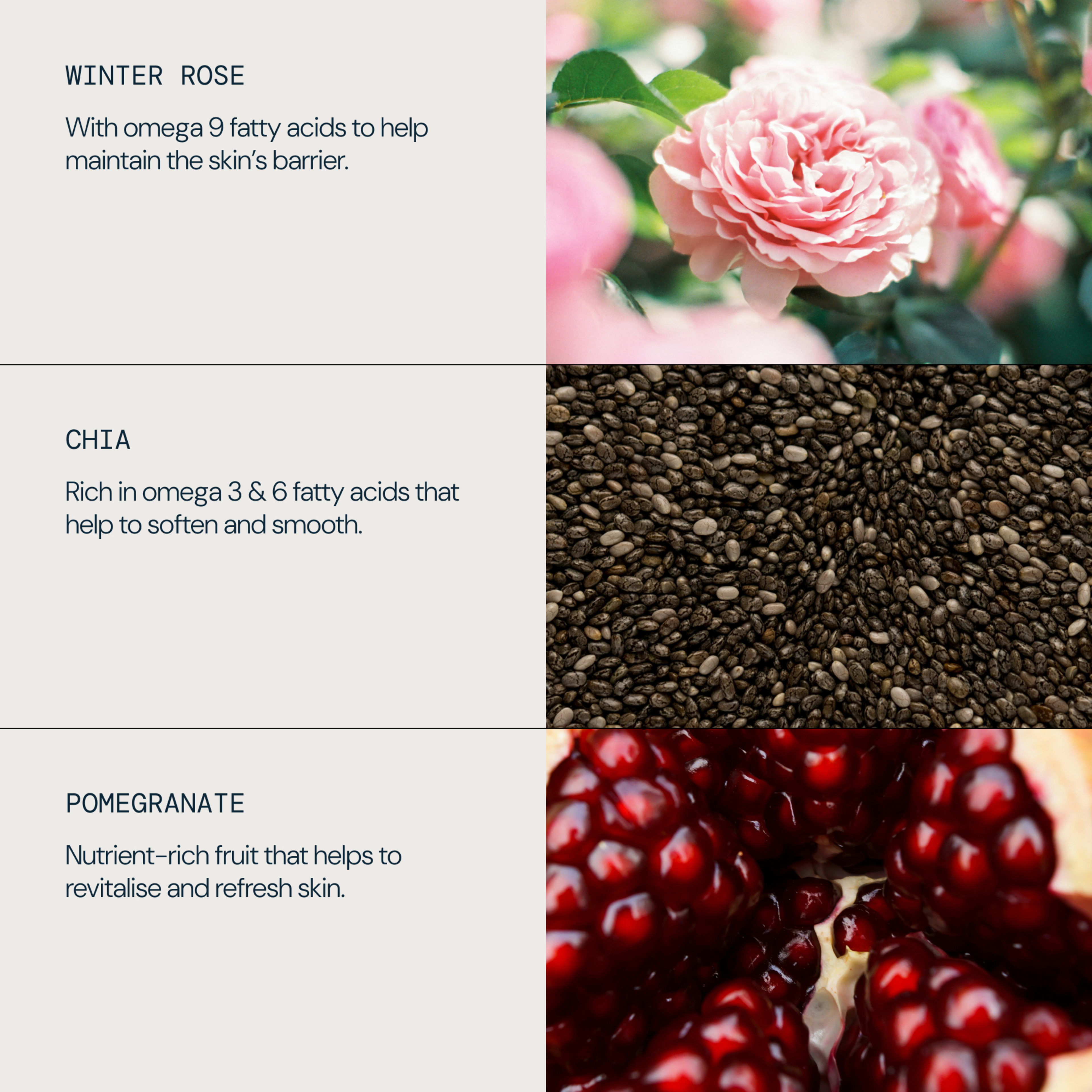 Graphic showing three ELEMIS skincare ingredients: winter rose with omega 9 fatty acids to help maintain the skin’s barrier, chia rich in omega 3 and 6 fatty acids to help soften and smooth, and pomegranate, a nutrient-rich fruit that helps revitalise and refresh skin.