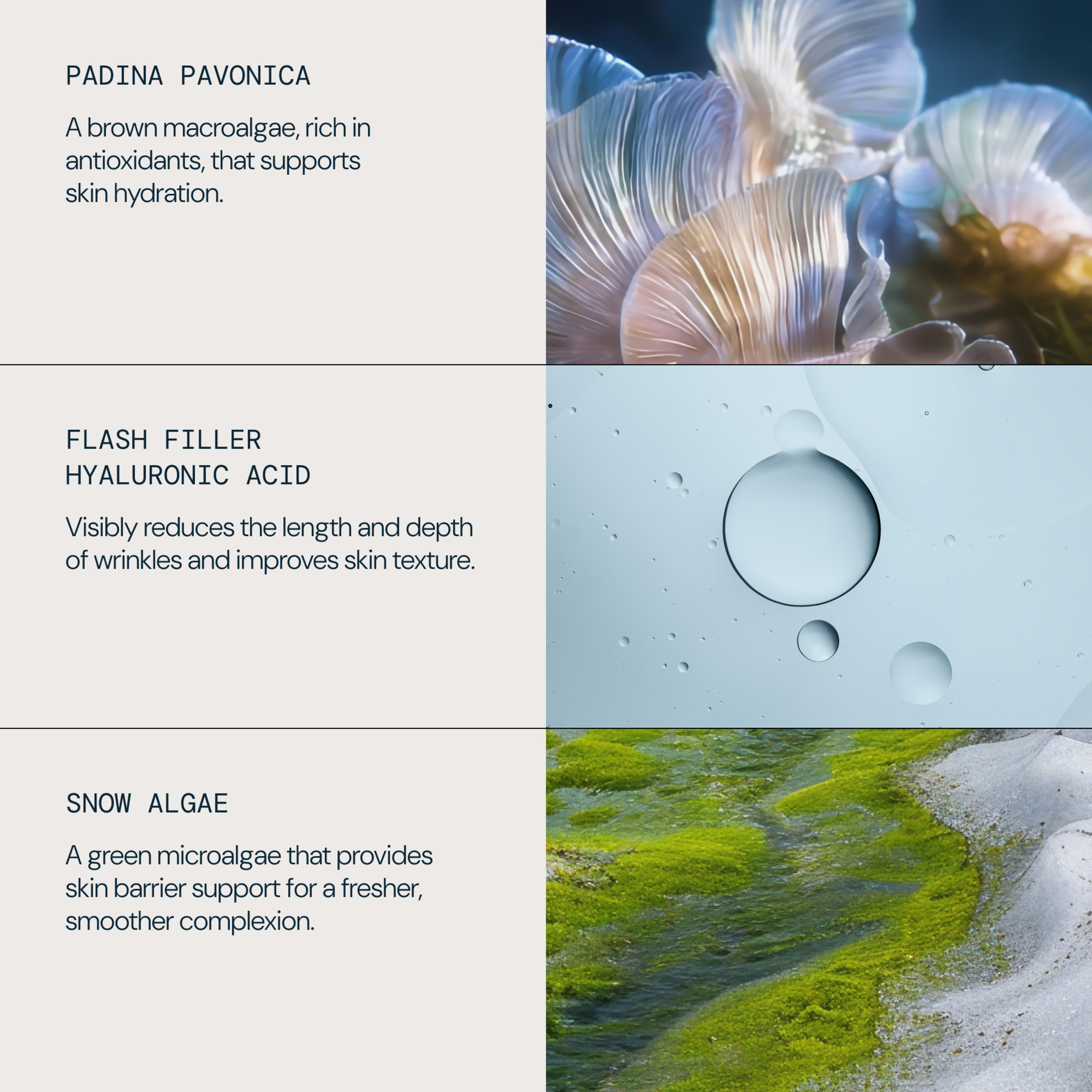 PADINA PAVONICA: a brown macroalgae, rich in antioxidants, that supports skin hydration. FLASH FILLER HYALURONIC ACID: visibly reduces the length and depth of wrinkles and improves skin texture. SNOW ALGAE: green microalgae that supports a fresher, smoother complexion.