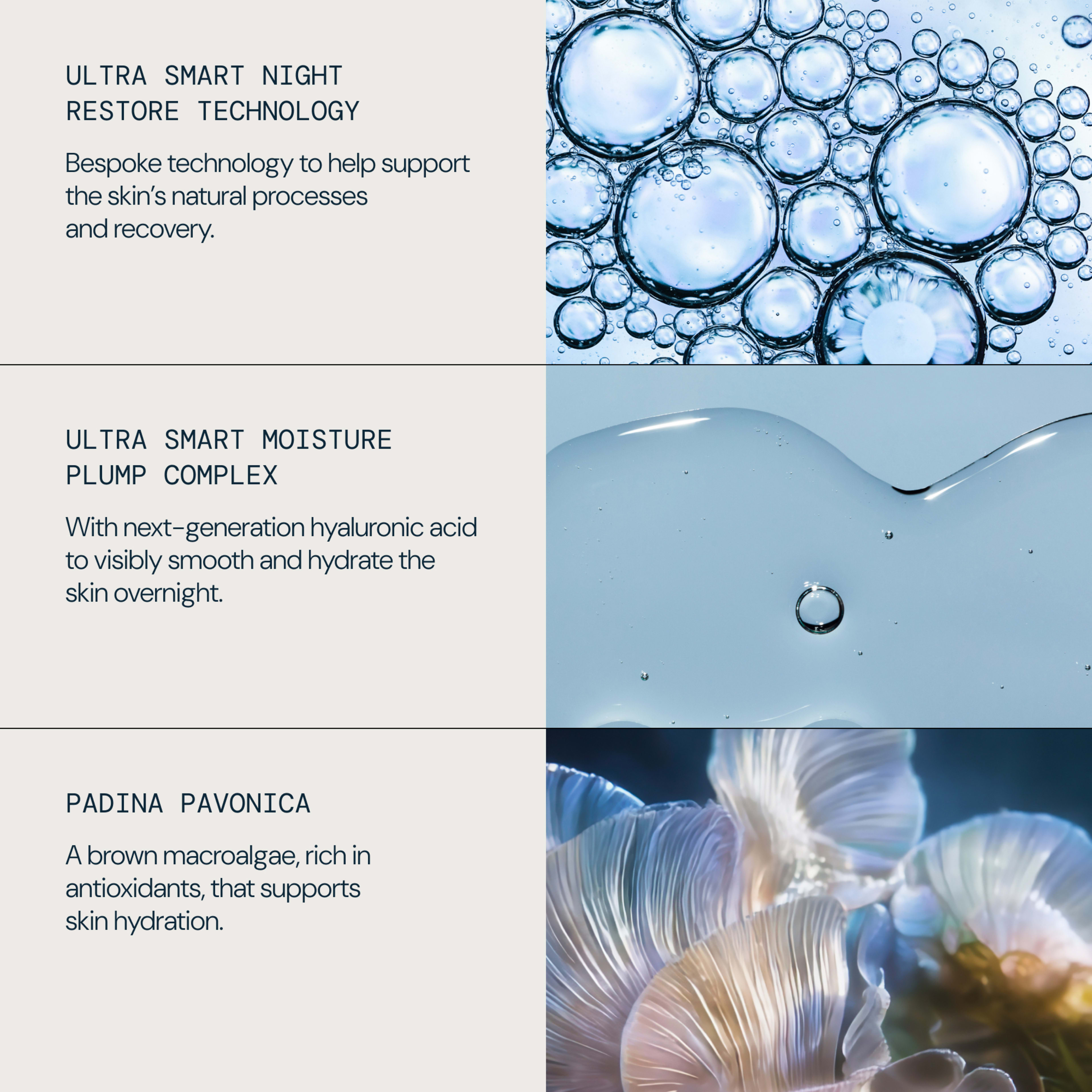 ELEMIS infographic highlighting skincare technologies and ingredients: “Ultra Smart Night Restore Technology” supporting the skin’s natural recovery, “Ultra Smart Moisture Plump Complex” with next‑generation hyaluronic acid to smooth and hydrate overnight, and “Padina Pavonica” brown macroalgae rich in antioxidants that supports skin hydration.