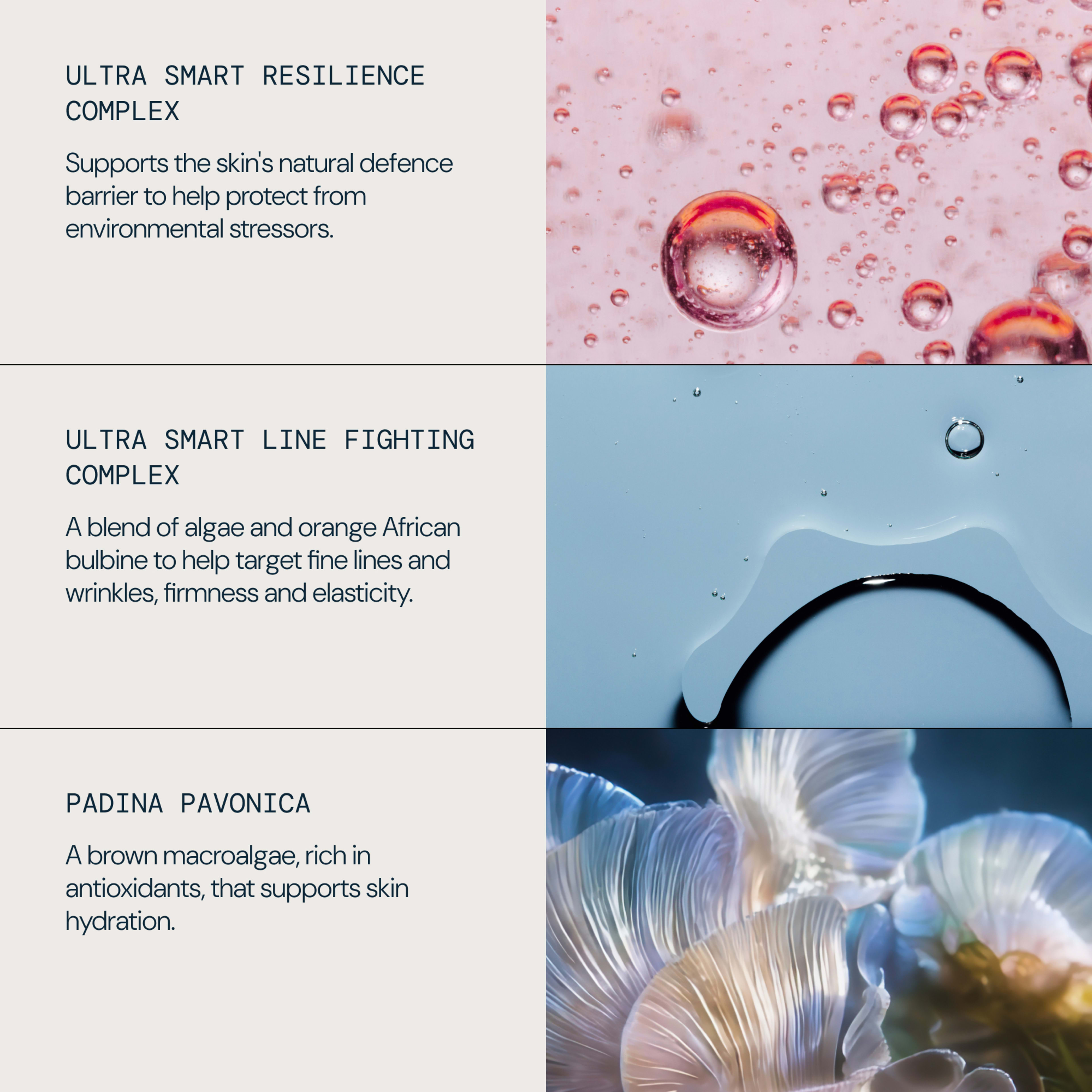 ELEMIS infographic describing key skincare complexes: "Ultra Smart Resilience Complex" supports skin’s natural defence barrier; "Ultra Smart Line Fighting Complex" uses algae and orange African bulbine to target fine lines, wrinkles, firmness and elasticity; "Padina pavonica" is a brown macroalgae rich in antioxidants that supports skin hydration.