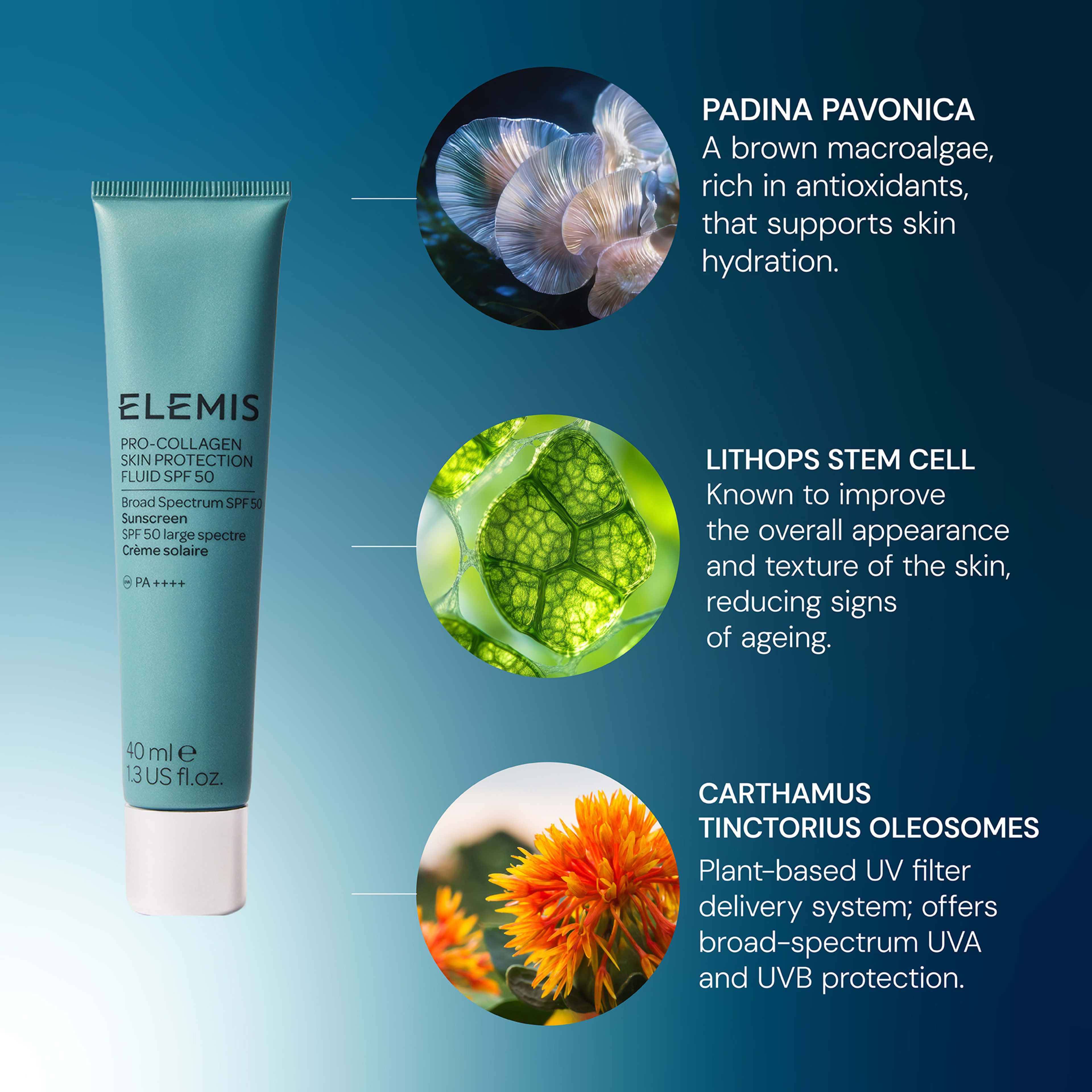 ELEMIS Pro-Collagen Skin Protection Fluid SPF 50 tube with key ingredients highlighted: padina pavonica for antioxidant skin hydration, lithops stem cell to improve skin texture and reduce signs of ageing, and carthamus tinctorius oleosomes for broad-spectrum UV protection.