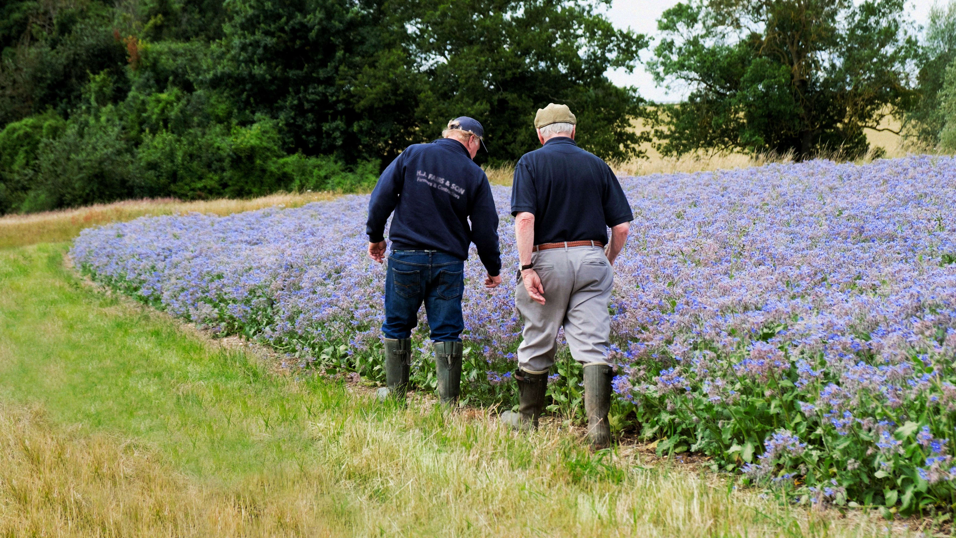 The Beauty of Bogs: ELEMIS x RSPB